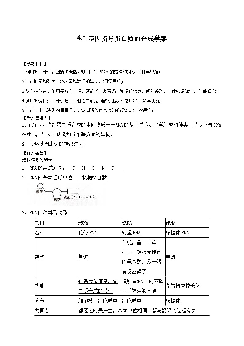 4.1 基因指导蛋白质的合成学案第1页