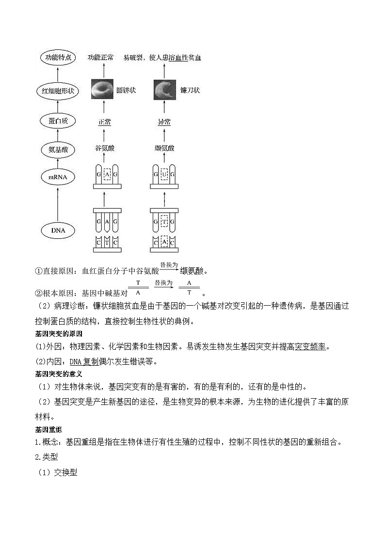 5.1 基因突变和基因重组学案02