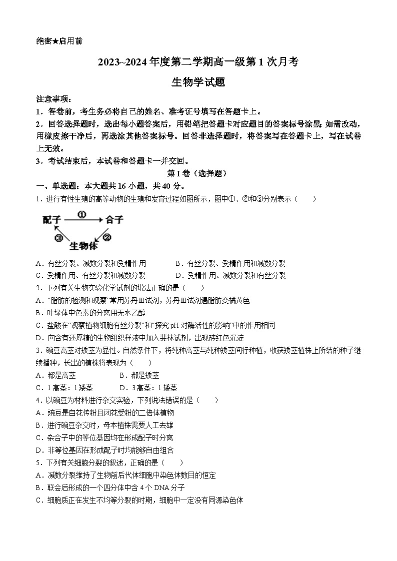 广东省揭阳市惠来县神泉中学2023-2024学年高一下学期第一次月考生物试题01