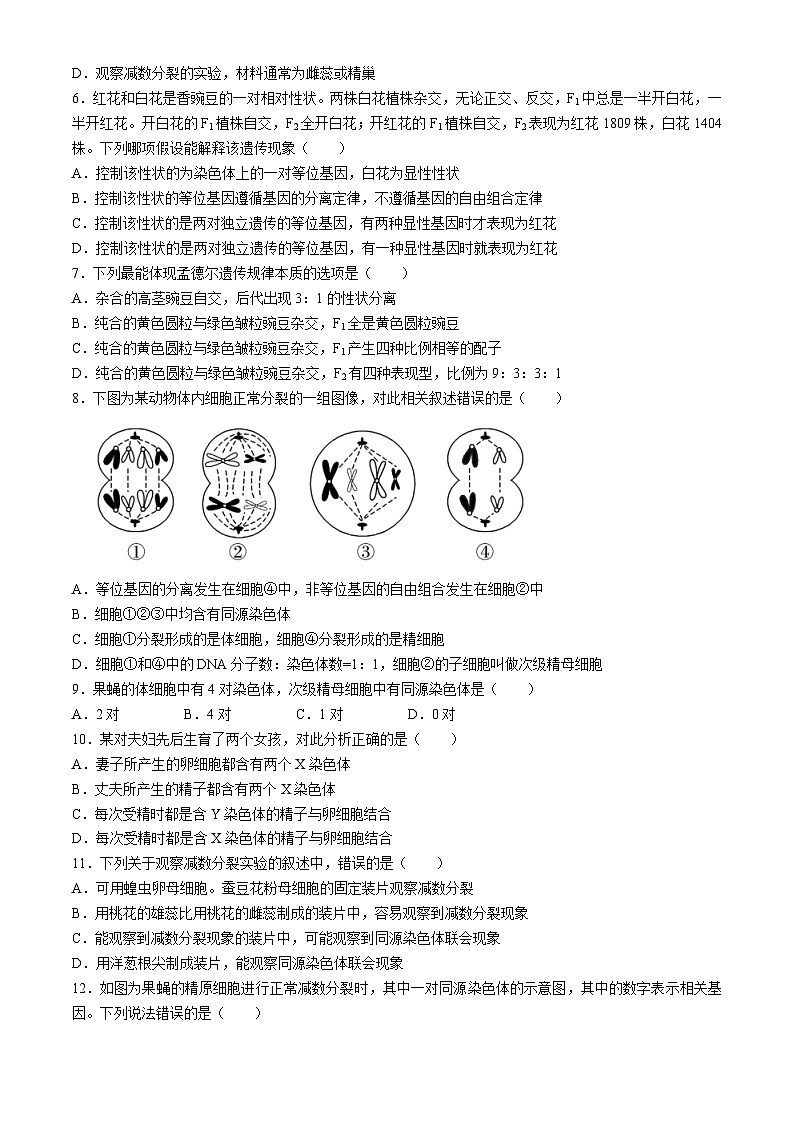 广东省揭阳市惠来县神泉中学2023-2024学年高一下学期第一次月考生物试题02
