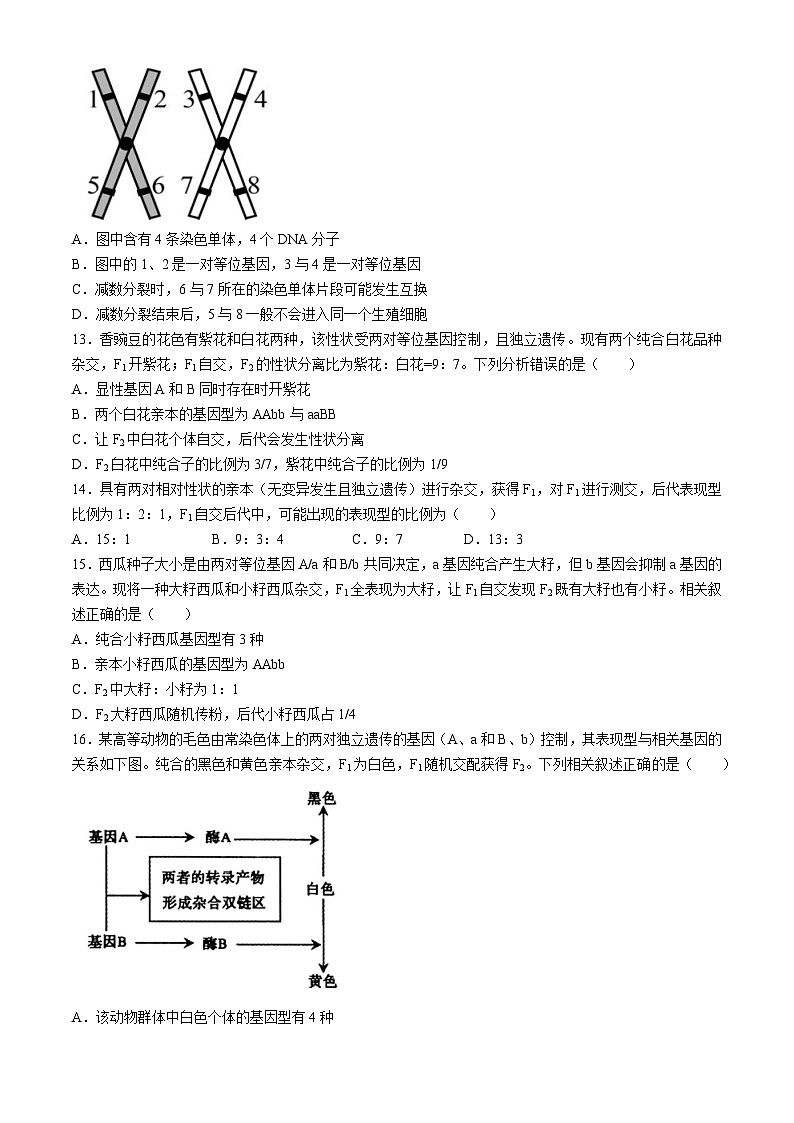 广东省揭阳市惠来县神泉中学2023-2024学年高一下学期第一次月考生物试题03