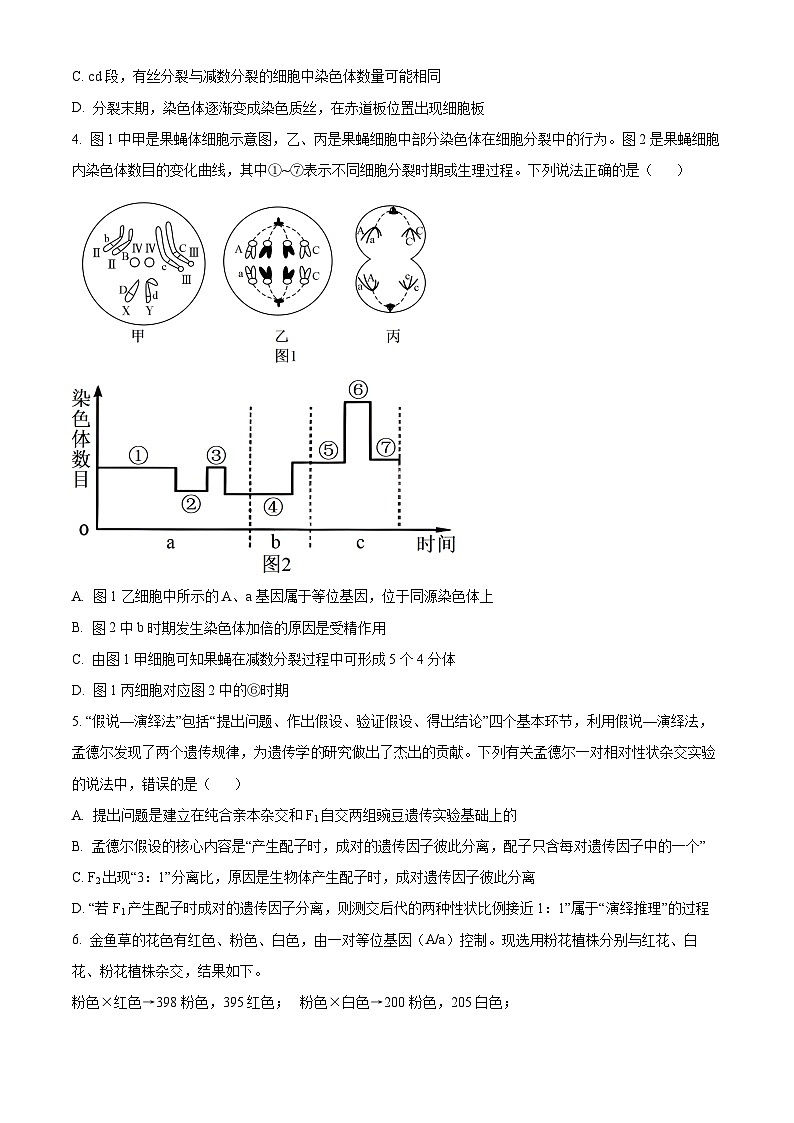 福建省泉州市德化县第二中学2023-2024学年高一下学期3月月考生物试题（原卷版+解析版）02