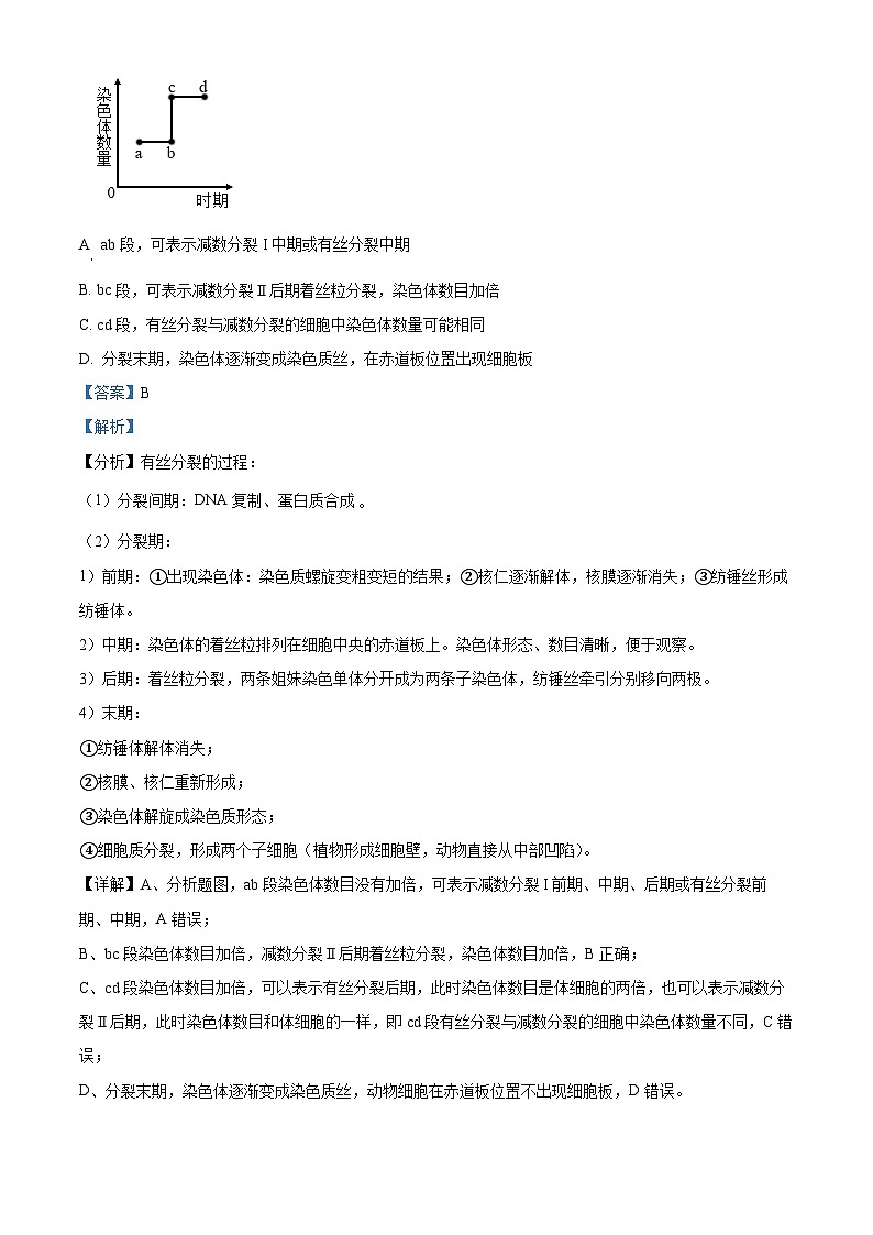福建省泉州市德化县第二中学2023-2024学年高一下学期3月月考生物试题（原卷版+解析版）03
