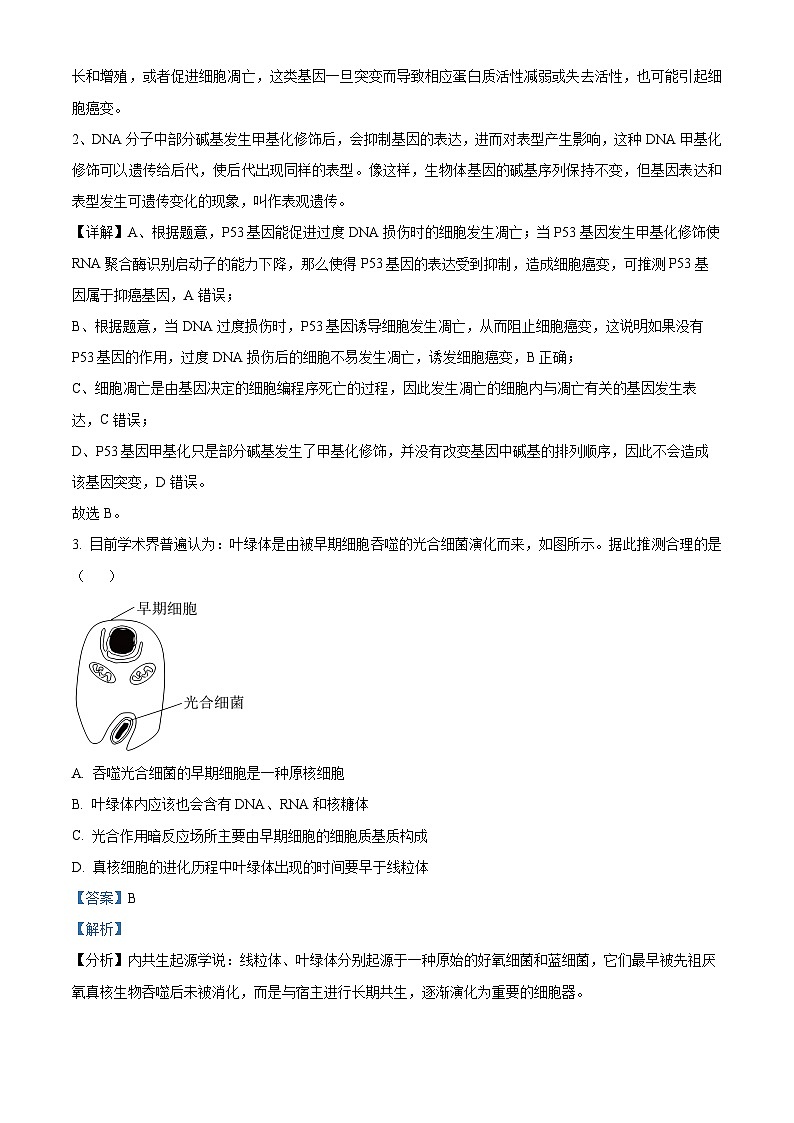 广东省云浮市云安中学2023-2024学年高三下学期3月考试生物试题（解析版）第2页