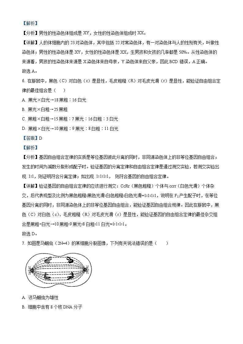 江苏省连云港市灌云县杨集高级中学2023-2024学年高一下学期3月阶段检测生物试题（解析版）第3页