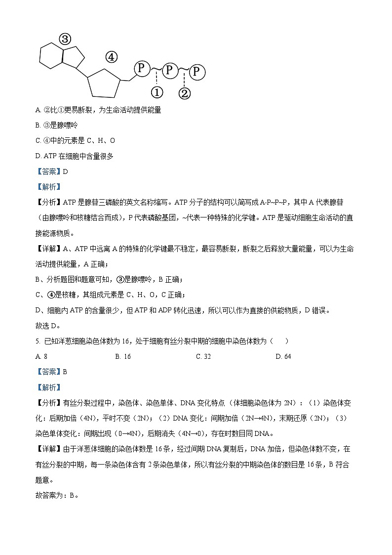江苏省南通市2023-2024学年高一下学期3月月考生物试题（原卷版+解析版）03