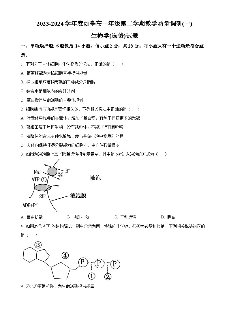 江苏省南通市2023-2024学年高一下学期3月月考生物试题（原卷版+解析版）01