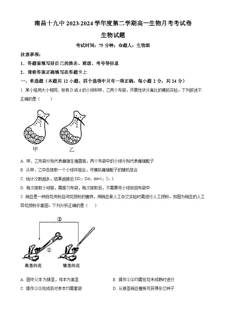 江西省南昌市东湖区南昌市第十九中学2023-2024学年高一下学期3月月考生物试题（原卷版）第1页