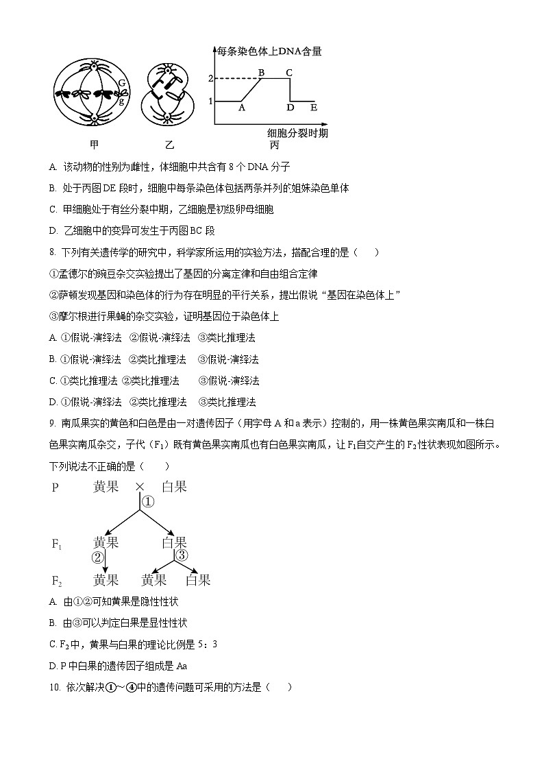 江西省南昌市东湖区南昌市第十九中学2023-2024学年高一下学期3月月考生物试题（原卷版）第3页