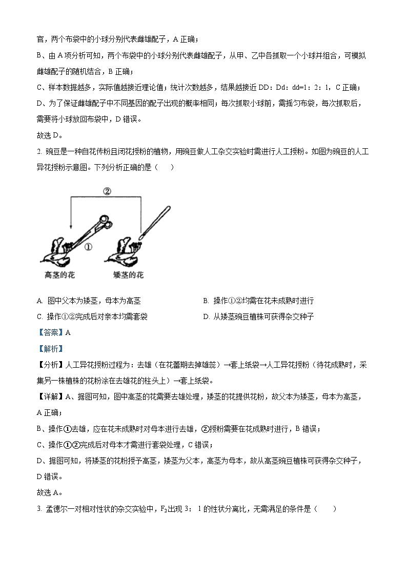 江西省南昌市东湖区南昌市第十九中学2023-2024学年高一下学期3月月考生物试题（解析版）第2页