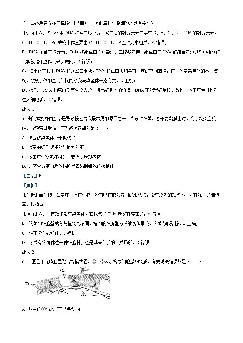 浙江省杭州市场口中学2023-2024学年高一下学期3月月考生物试题（解析版）第3页