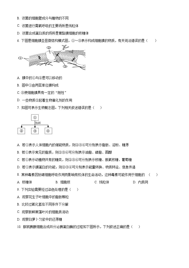 浙江省杭州市场口中学2023-2024学年高一下学期3月月考生物试题（原卷版）第2页