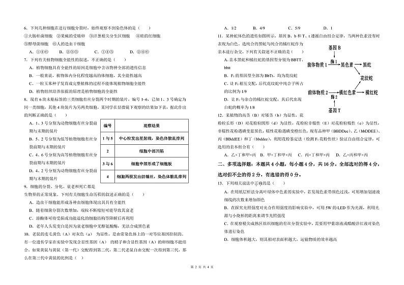 第一次月考试卷第2页