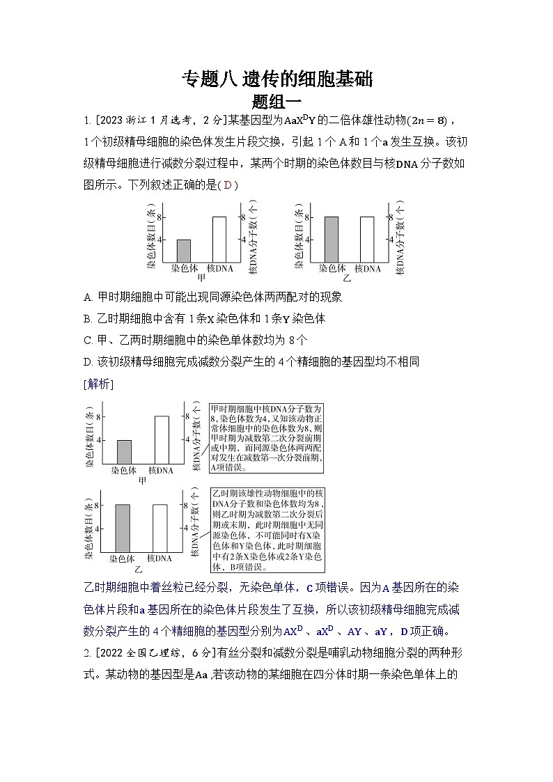专题八 遗传的细胞基础-2024五年高考题分类训练（生物）第1页