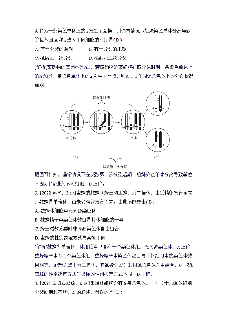 专题八 遗传的细胞基础-2024五年高考题分类训练（生物）第2页