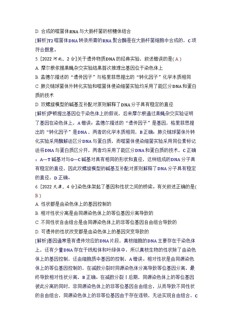 专题九 遗传的分子基础-2024五年高考题分类训练（生物）第2页