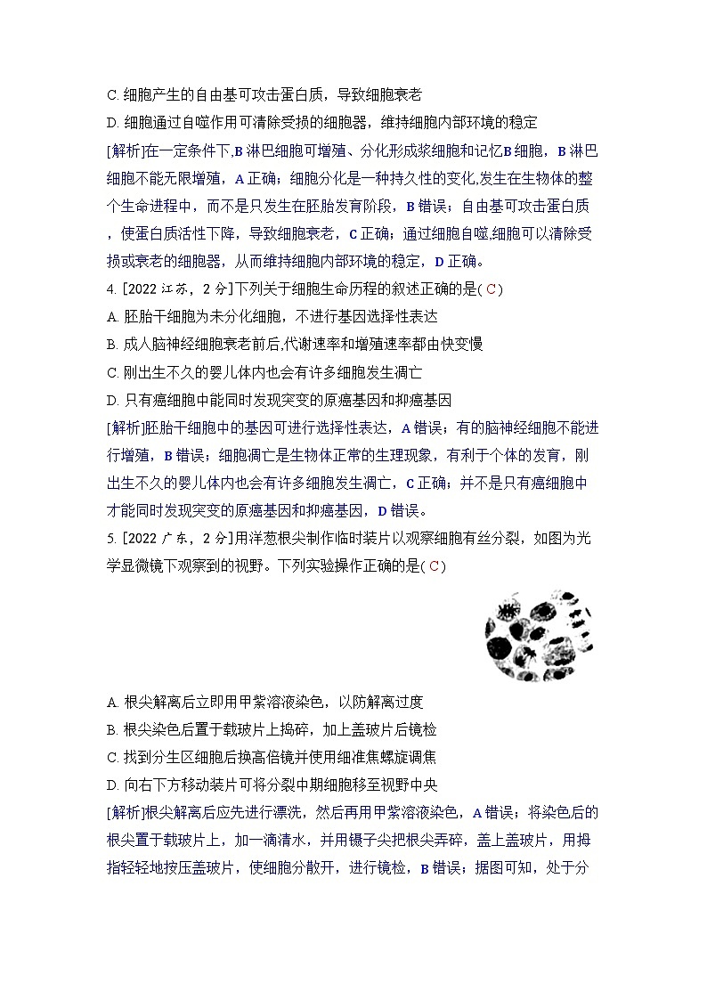 专题七 细胞的生命历程-2024五年高考题分类训练（生物）第2页