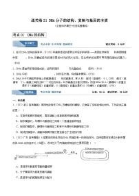 2024年高考生物一轮复习考点通关卷(新高考通用)考点通关卷21DNA分子的结构、复制与基因的本质(原卷版+解析)