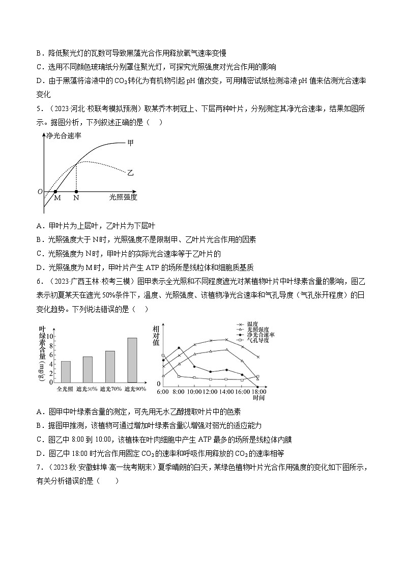 2024年高考生物一轮复习讲练测(新教材新高考)第10.2讲光合作用的影响因素和应用(练习)(原卷版+解析)第2页