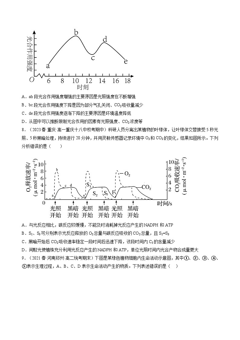 2024年高考生物一轮复习讲练测(新教材新高考)第10.2讲光合作用的影响因素和应用(练习)(原卷版+解析)第3页