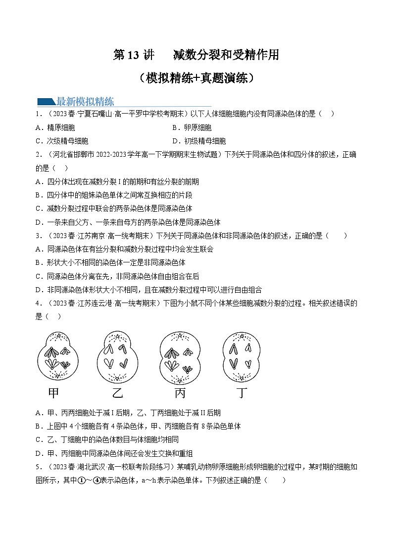 2024年高考生物一轮复习讲练测(新教材新高考)第13讲减数分裂和受精作用(练习)(原卷版+解析)第1页