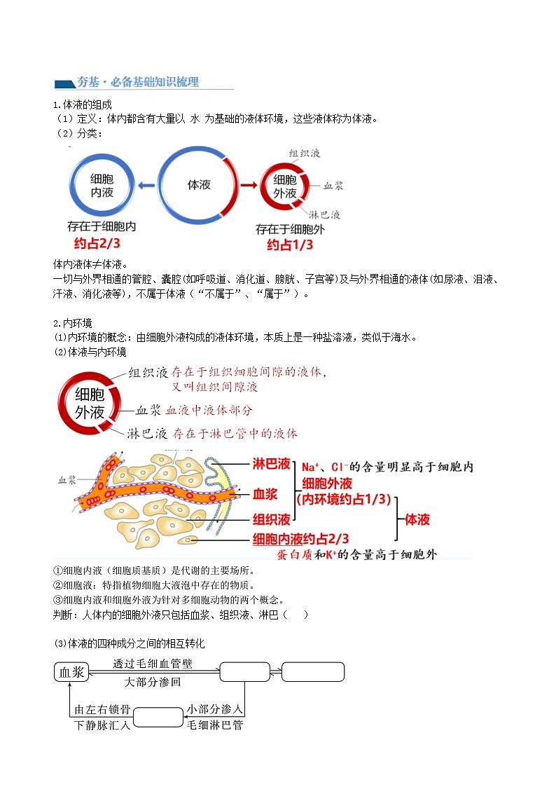 2024年高考生物一轮复习讲练测(新教材新高考)第25讲内环境与稳态(讲义)(学生版+解析)第2页