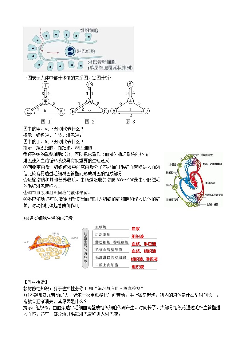 2024年高考生物一轮复习讲练测(新教材新高考)第25讲内环境与稳态(讲义)(学生版+解析)第3页