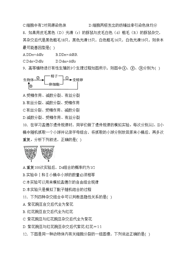 灌云县杨集高级中学2023-2024学年高一下学期3月阶段检测生物试卷(含答案)第2页