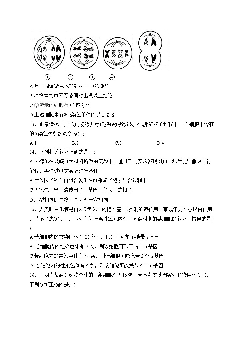 灌云县杨集高级中学2023-2024学年高一下学期3月阶段检测生物试卷(含答案)第3页