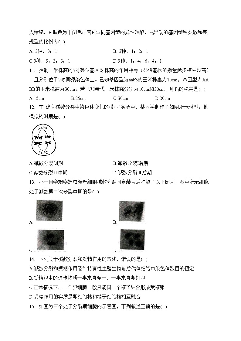 山东省大联考2023-2024学年高一下学期3月月考生物试卷(含答案)第3页