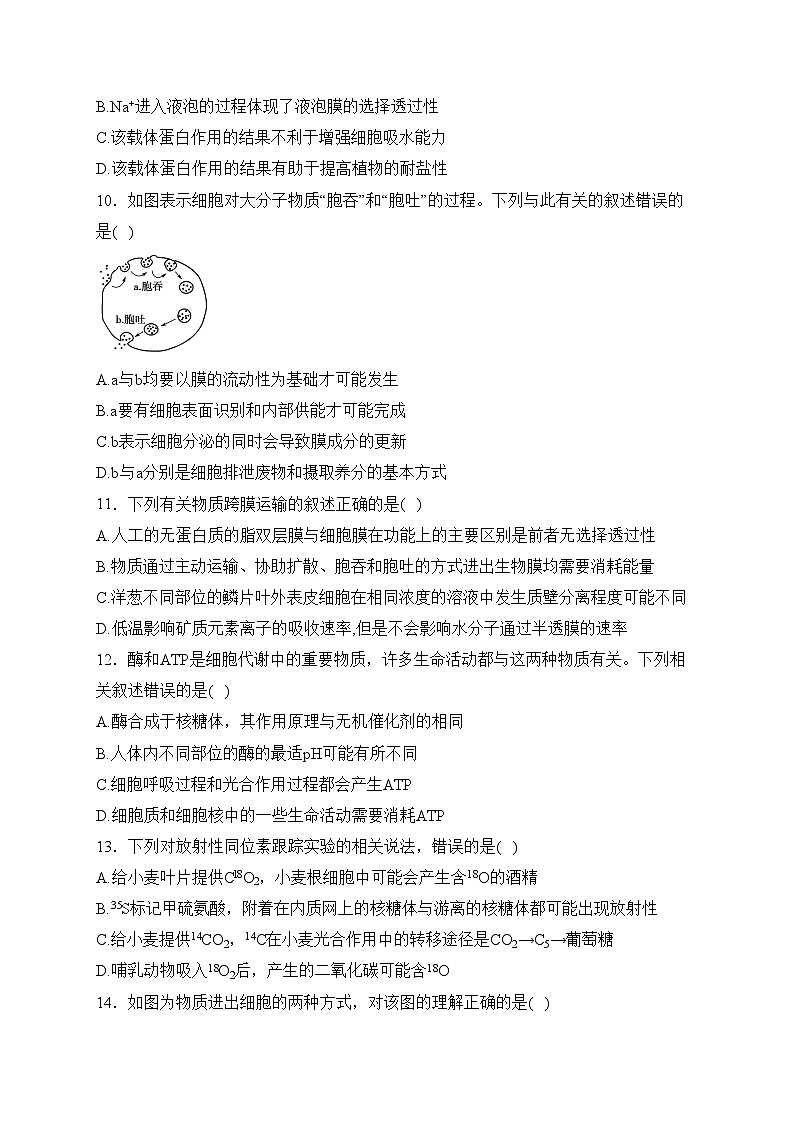 陕西省西安市五校联考2023-2024学年高一上学期期末考试生物试卷(含答案)第3页