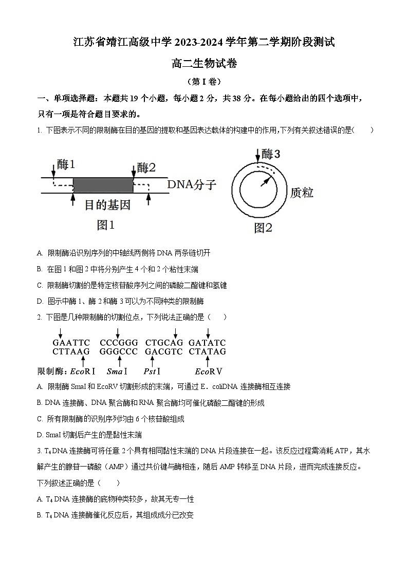 2024泰州靖江高级中学高二下学期3月试题生物含解析第1页