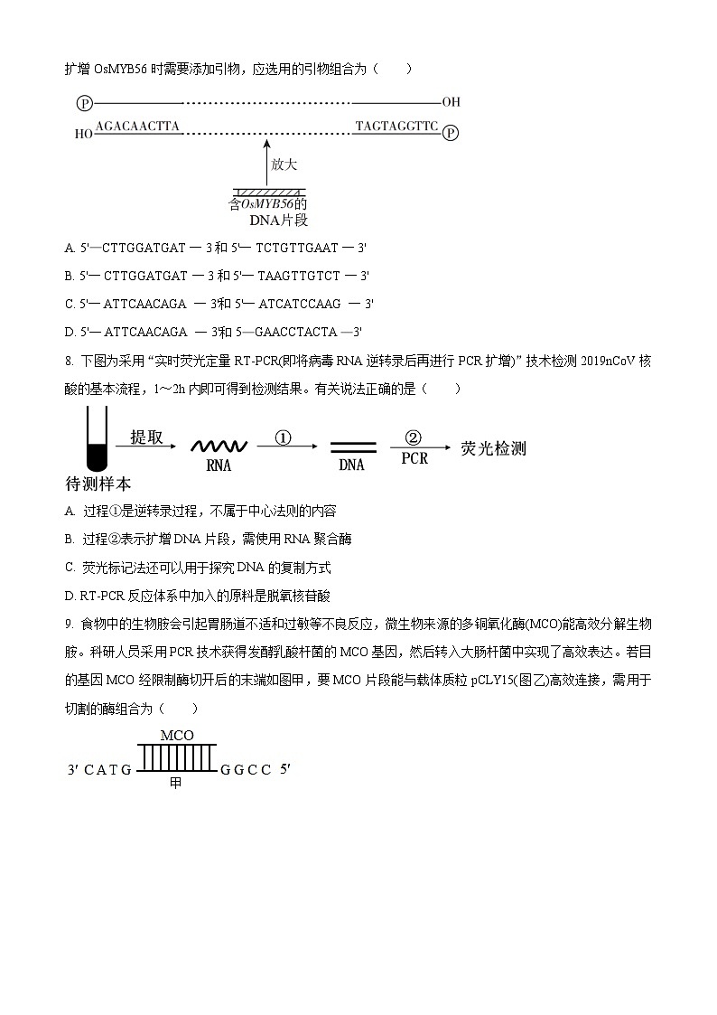 2024泰州靖江高级中学高二下学期3月试题生物含解析第3页