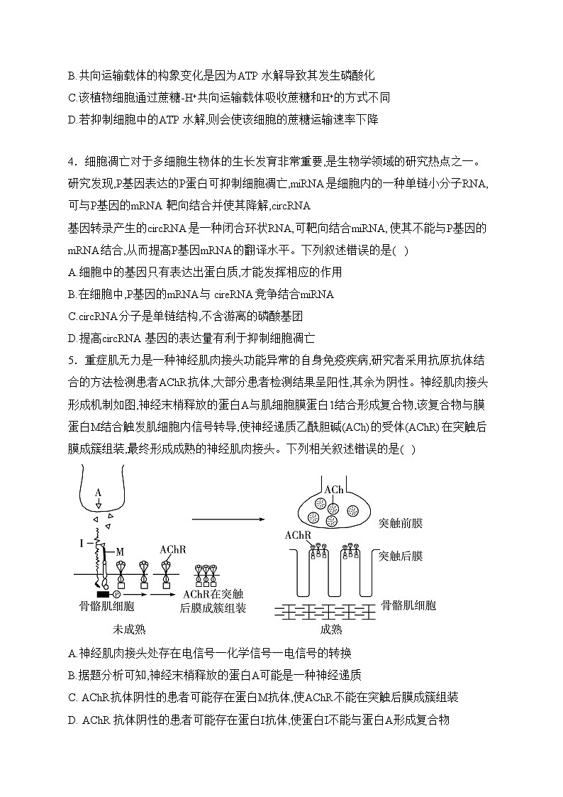安徽省示范高中皖北协作区2024届高三第26届联考试卷(含答案)第2页