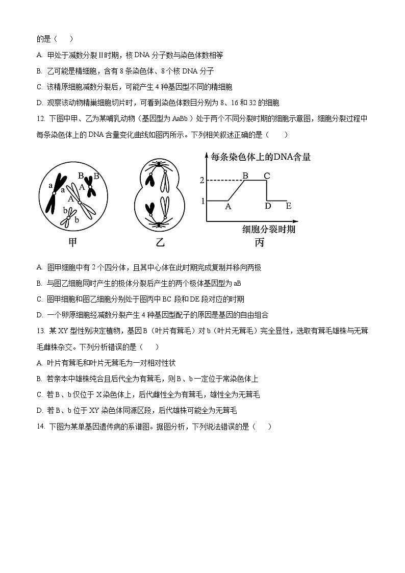 山东省临沂市兰山区临沂第四中学2023-2024学年高一下学期3月月考生物试题（原卷版）第3页