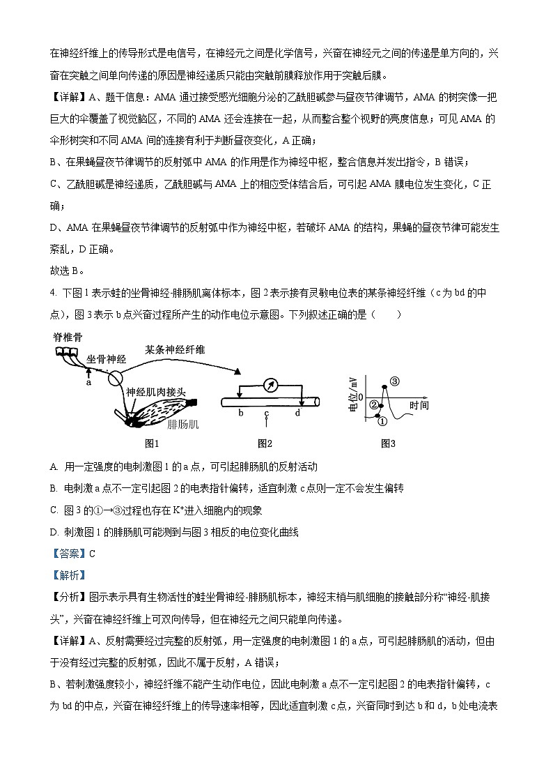 四川省广安市华蓥市四川省华蓥中学2023-2024学年高二下学期3月月考生物试题（解析版）第3页