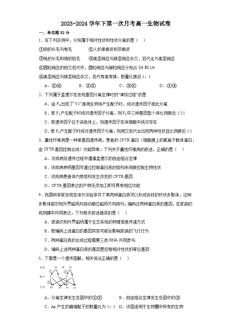 福建省漳州市华安县第一中学2023-2024学年高一下学期3月月考生物试题第1页