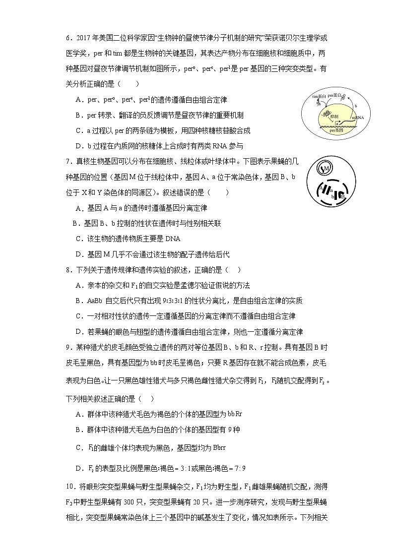 福建省漳州市华安县第一中学2023-2024学年高一下学期3月月考生物试题第2页