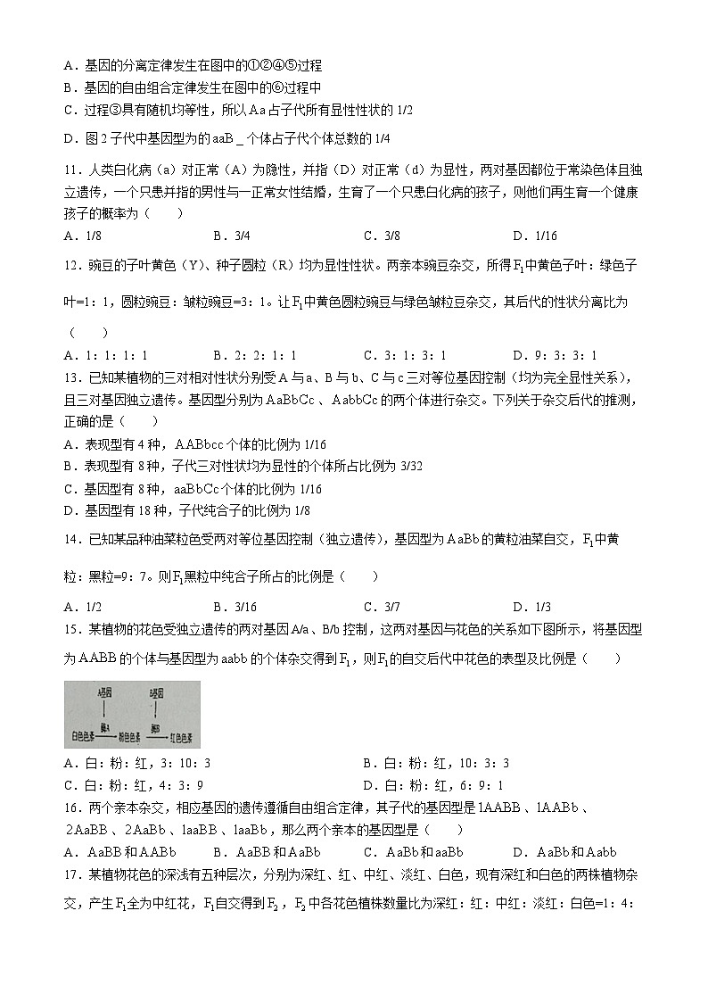 四川省绵阳市三台中学2023-2024学年高一下学期3月月考生物试题第3页