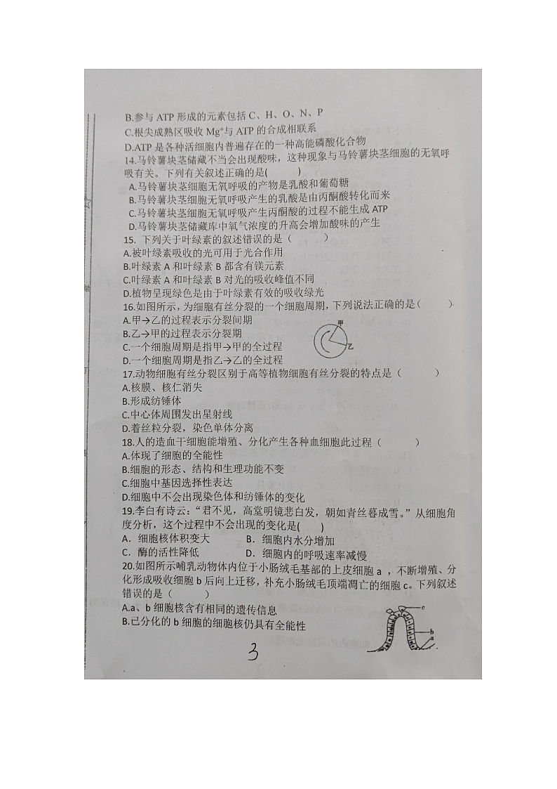 辽宁省铁岭市西丰县西丰县第二高级中学2023-2024学年高一上学期1月期末生物试题第3页