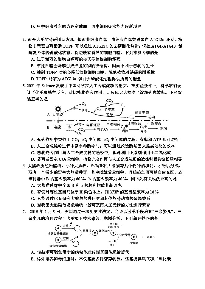 吉林省吉林市2024届高三下学期3月第三次模拟考试生物试卷（Word版附答案）02