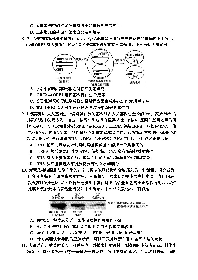 吉林省吉林市2024届高三下学期3月第三次模拟考试生物试卷（Word版附答案）03