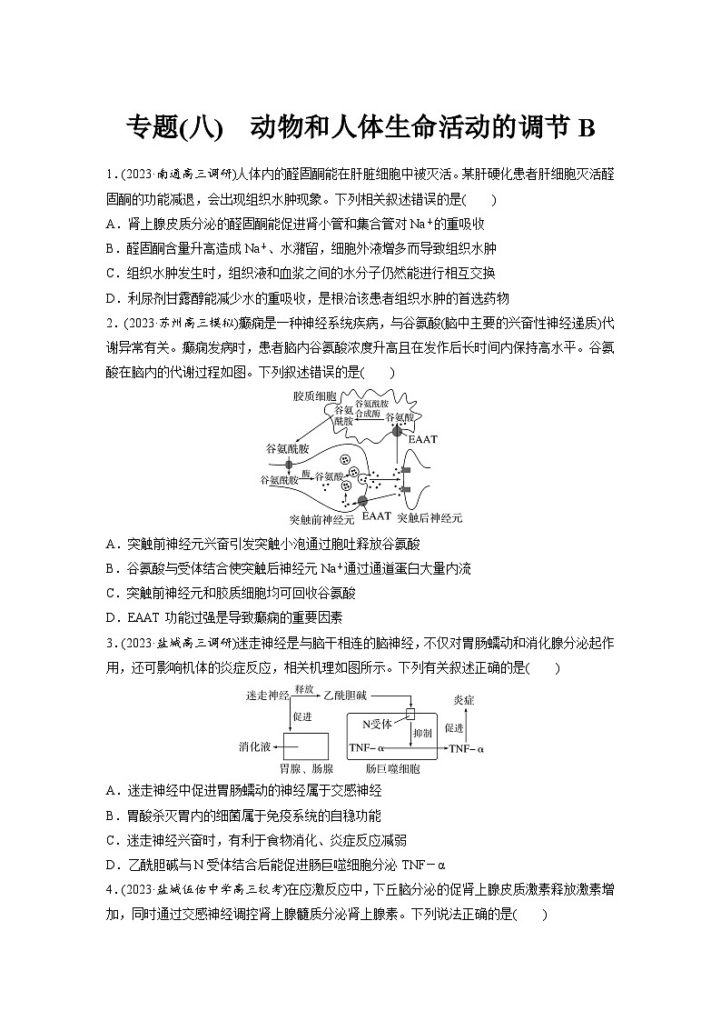 专题(八)　动物和人体生命活动的调节B（含解析）-2024年高考生物二轮复习强化练01
