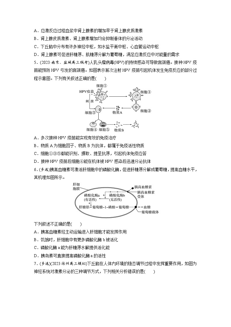 专题(八)　动物和人体生命活动的调节B（含解析）-2024年高考生物二轮复习强化练02