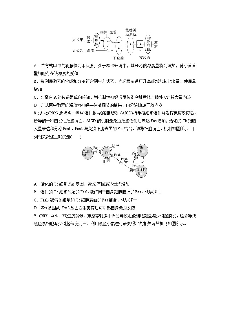 专题(八)　动物和人体生命活动的调节B（含解析）-2024年高考生物二轮复习强化练03