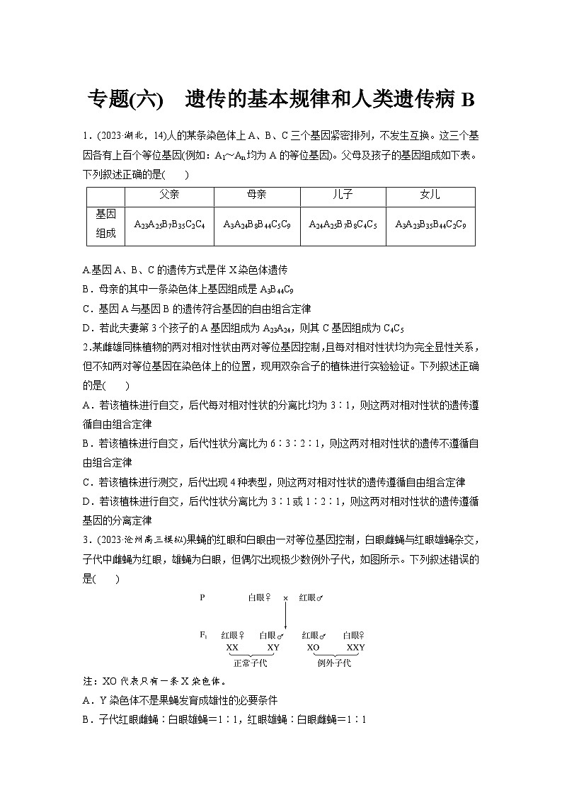 专题(六)　遗传的基本规律和人类遗传病B（含解析）-2024年高考生物二轮复习强化练第1页