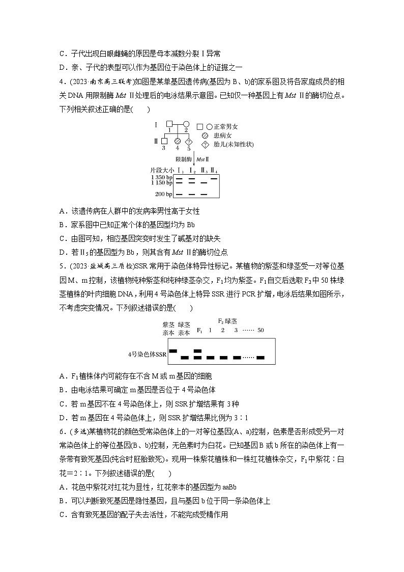 专题(六)　遗传的基本规律和人类遗传病B（含解析）-2024年高考生物二轮复习强化练第2页