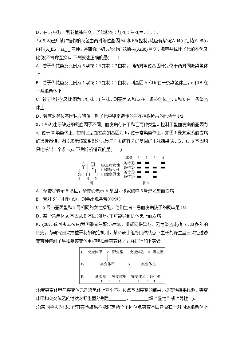 专题(六)　遗传的基本规律和人类遗传病B（含解析）-2024年高考生物二轮复习强化练第3页