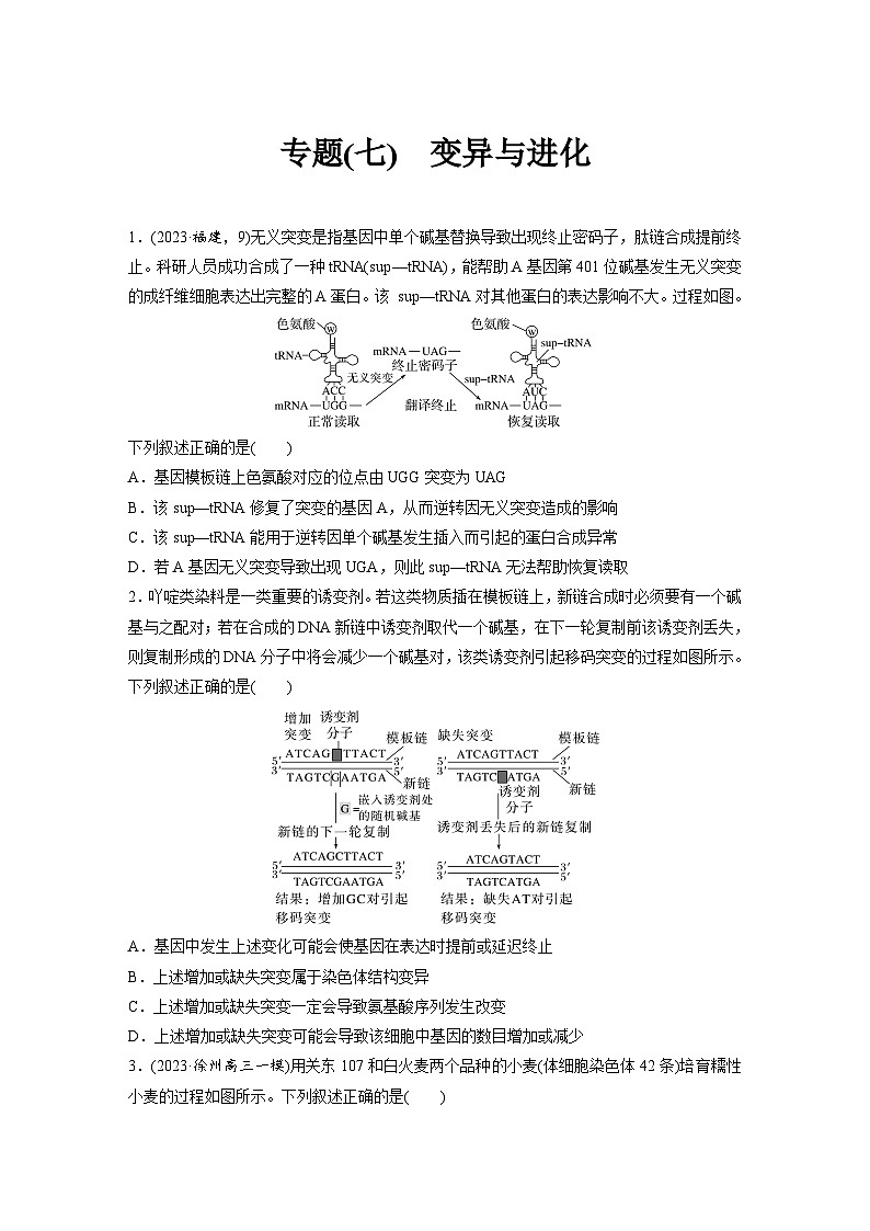 专题(七)　变异与进化（含解析）-2024年高考生物二轮复习强化练第1页