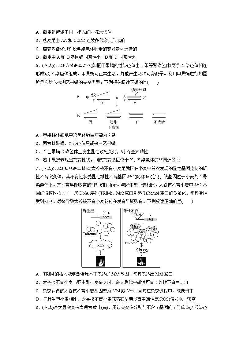 专题(七)　变异与进化（含解析）-2024年高考生物二轮复习强化练第3页